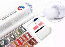 Load image into Gallery viewer, Kit Broderie Diamant Chien dans la baignoire