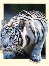 Load image into Gallery viewer, Tiger coming out of his frame
