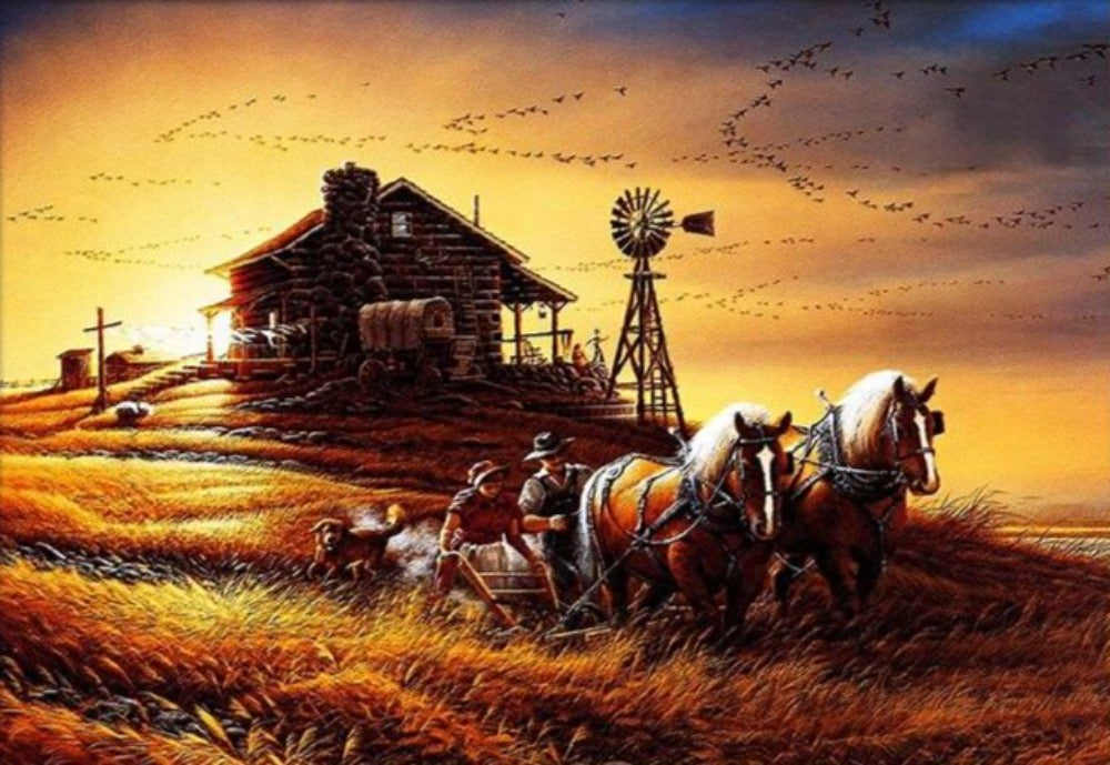 Horses harvest a field