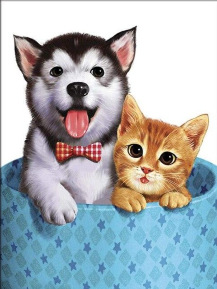 Dog and Cat smile