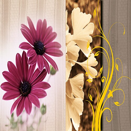 Flowers near a curtain 2