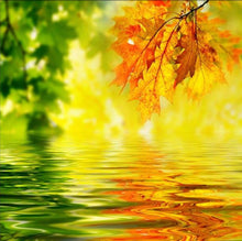 Load image into Gallery viewer, Autumn leaves
