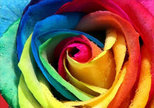 Load image into Gallery viewer, Multicolored rose
