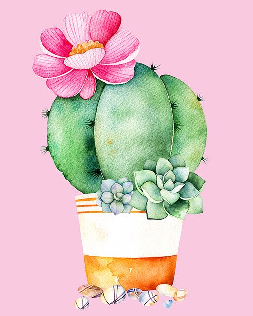 Cactus and flower
