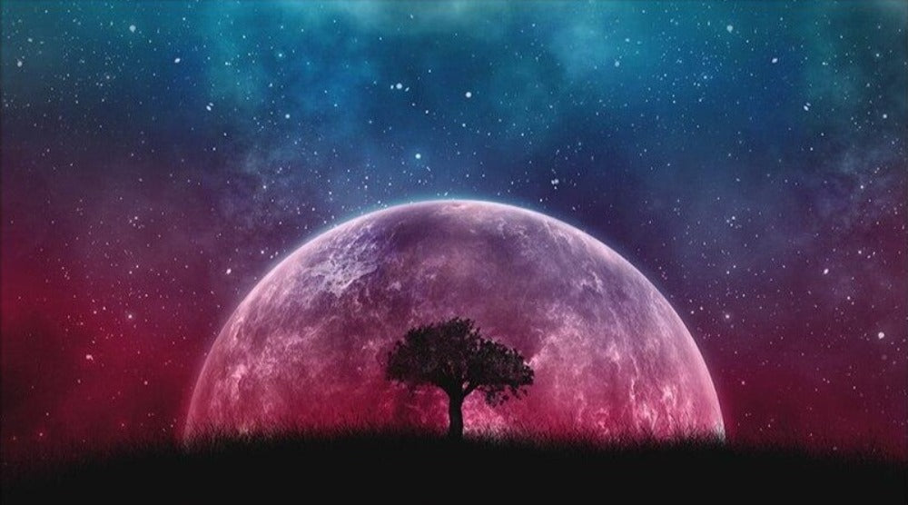 Tree under a red moon