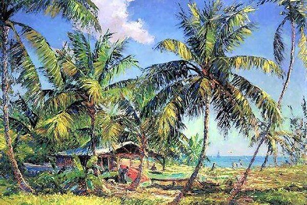 House under the coconut trees