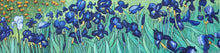 Load image into Gallery viewer, Fields of flowers
