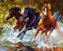 Load image into Gallery viewer, Chevaux au galop
