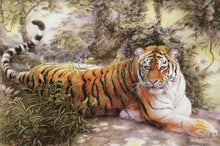 Load image into Gallery viewer, Tiger is resting
