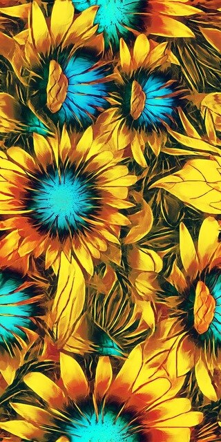 Sun Flowers