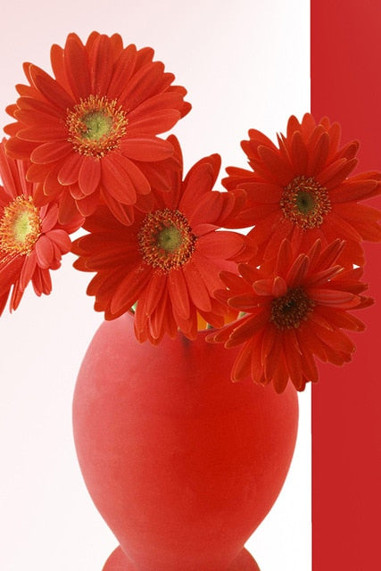 Red chrysanthemum 2