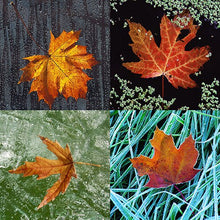 Load image into Gallery viewer, Four maple leaves
