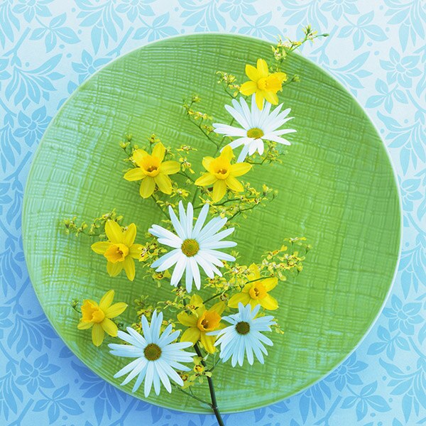 Flowers and plates 3