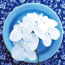 Load image into Gallery viewer, Flowers and plates 2

