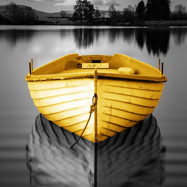 Golden boat on monochrome