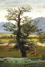 Load image into Gallery viewer, Cows near a tree
